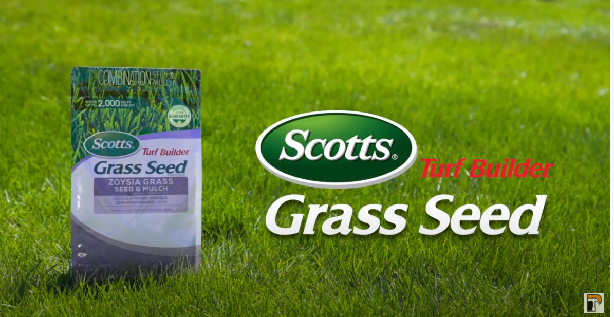 How to seed your lawn Image