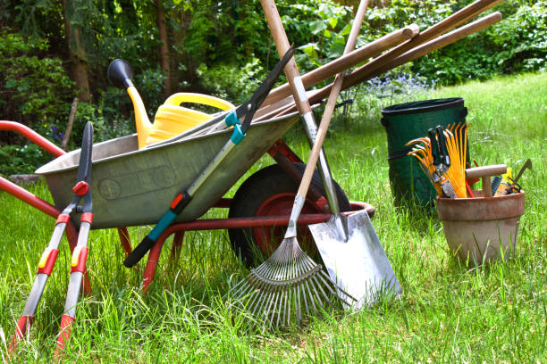 How to keep garden tools clean & rust-free Image
